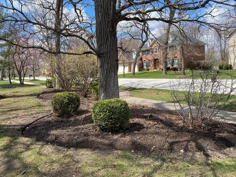 Custom landscape installation near you in Mokena, IL by JNE LawnCare