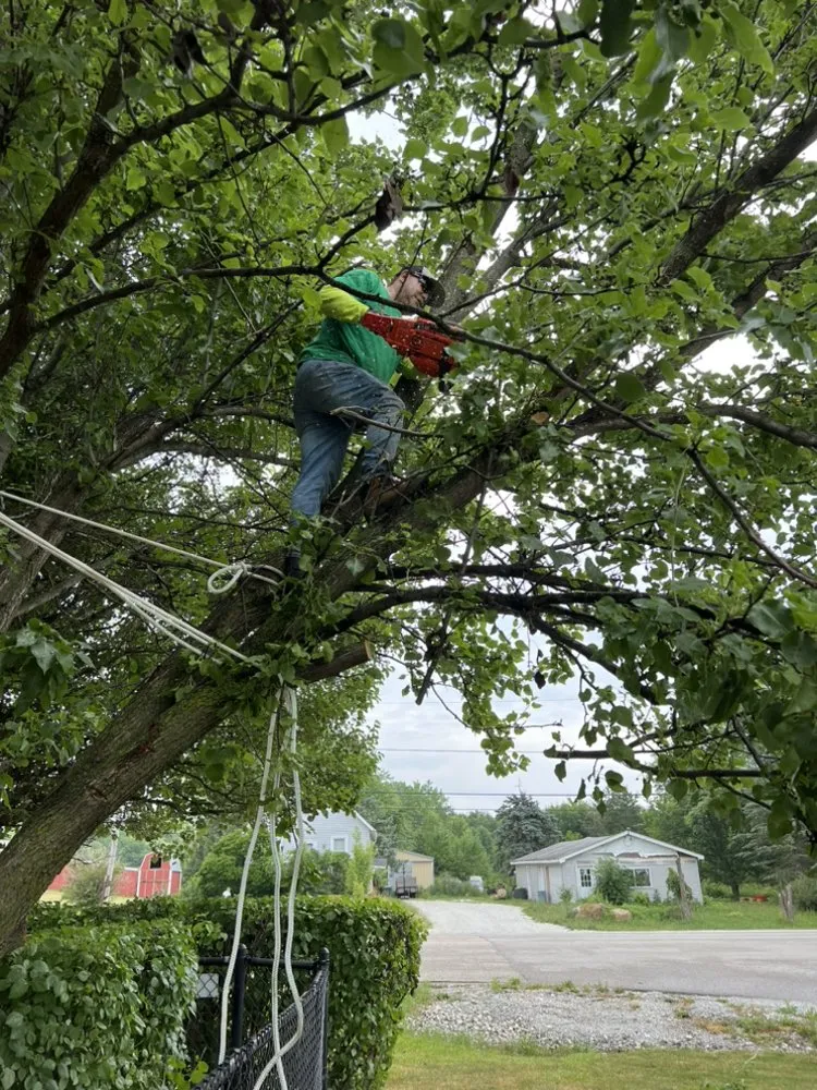 Trusted yard maintenance for year-round maintenance across Mokena, IL - JNE LawnCare