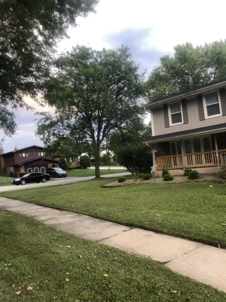 Local landscape design in Hazel Crest, IL by Jneals Landscaping Services