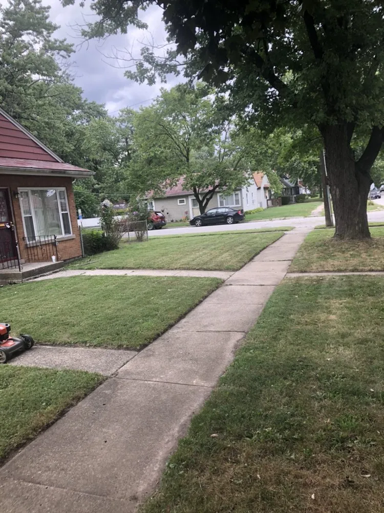 Expert landscaping services in Hazel Crest, IL - Jneals Landscaping Services