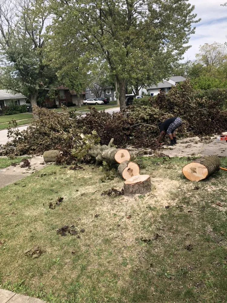 Affordable yard cleanup service for residential properties in Hazel Crest, IL by Jneals Landscaping Services