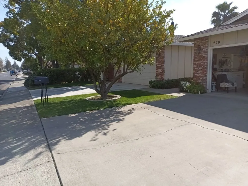 Expert yard cleanup service in Turlock, CA - JNG Landscape & Maintenance