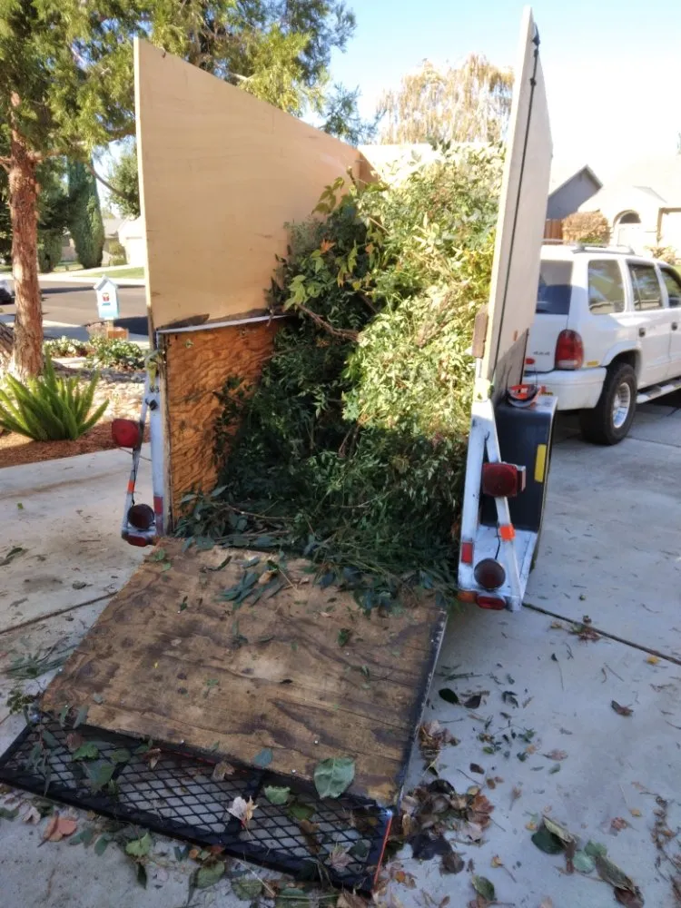 Expert yard maintenance for homes in Turlock, CA by JNG Landscape & Maintenance