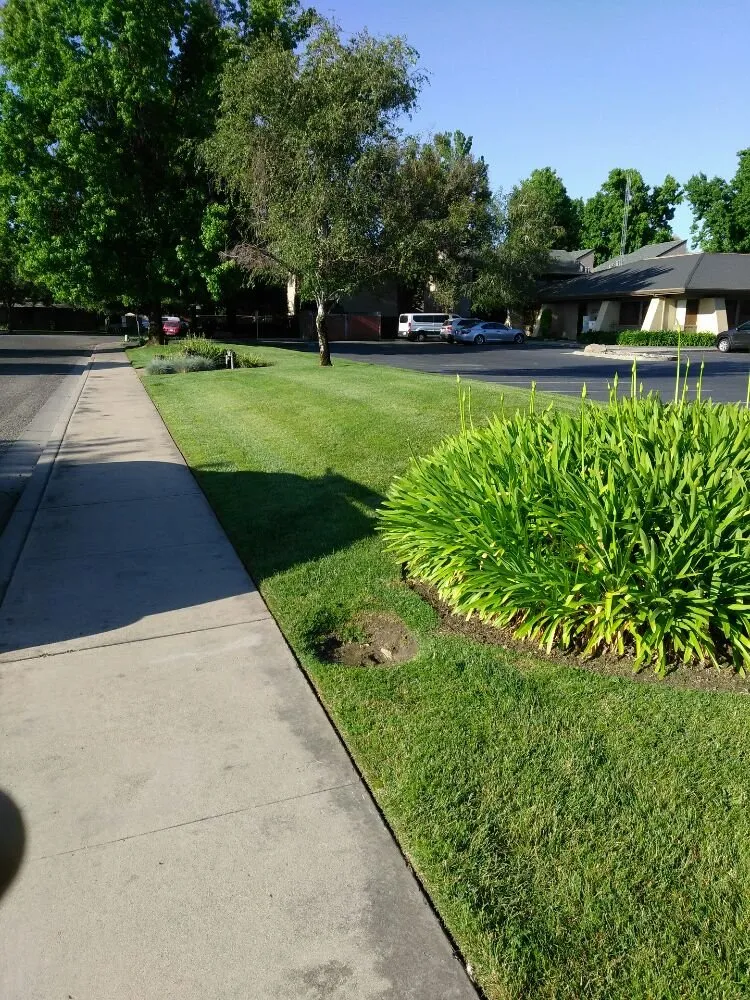 Affordable yard maintenance for beautiful yards across Turlock, CA - JNG Landscape & Maintenance