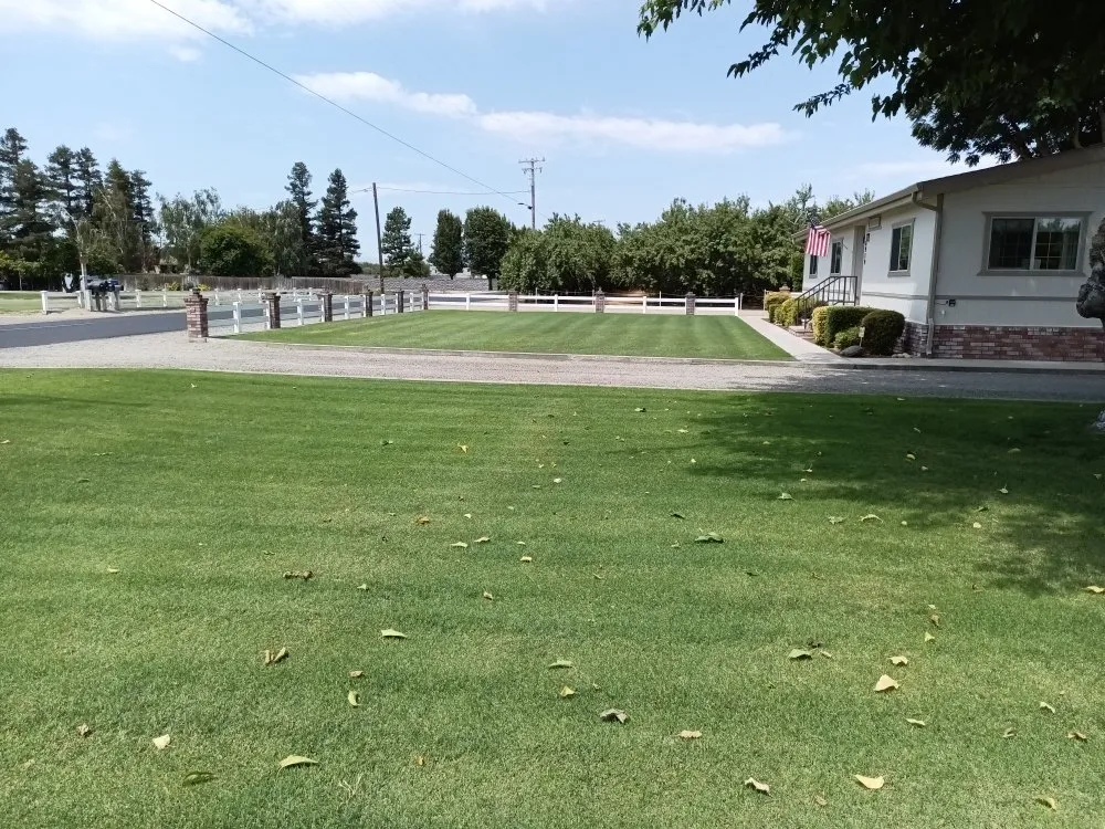 Affordable landscaping services experts serving Turlock, CA - JNG Landscape & Maintenance