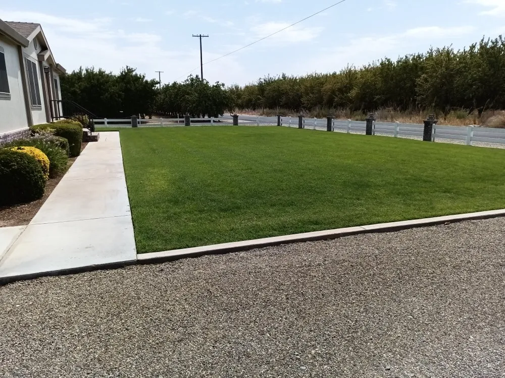 Professional yard cleanup service experts serving Turlock, CA - JNG Landscape & Maintenance