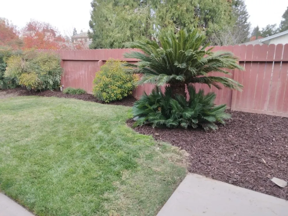 Affordable yard maintenance in Turlock, CA - JNG Landscape & Maintenance