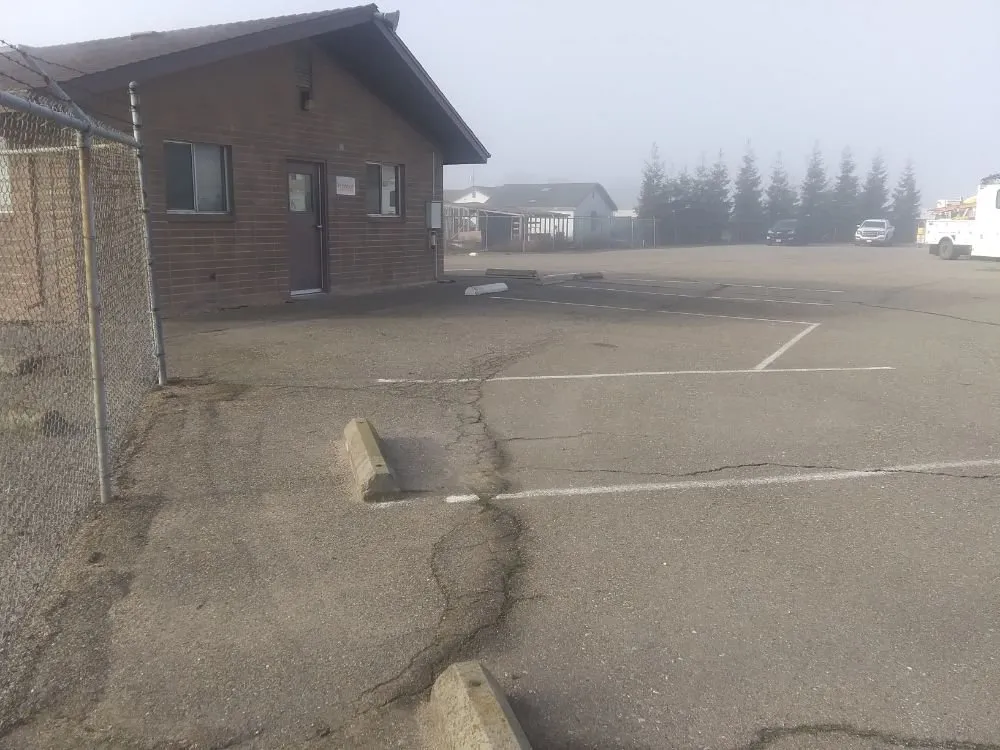 Trusted yard cleanup service experts serving Turlock, CA - JNG Landscape & Maintenance