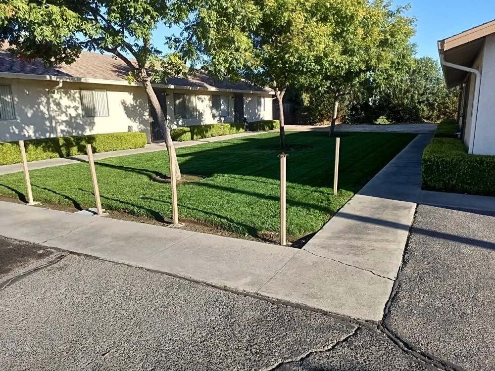Expert landscaping services in Turlock, CA by JNG Landscape & Maintenance