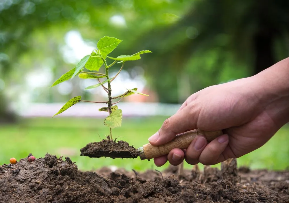 Custom garden landscaping experts serving Lake Worth Beach, FL - JNG Landscaping