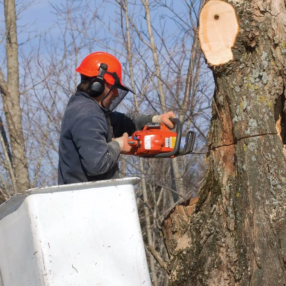 Expert landscape design with custom design across Daytona Beach, FL - JNG Tree Service and Landscaping