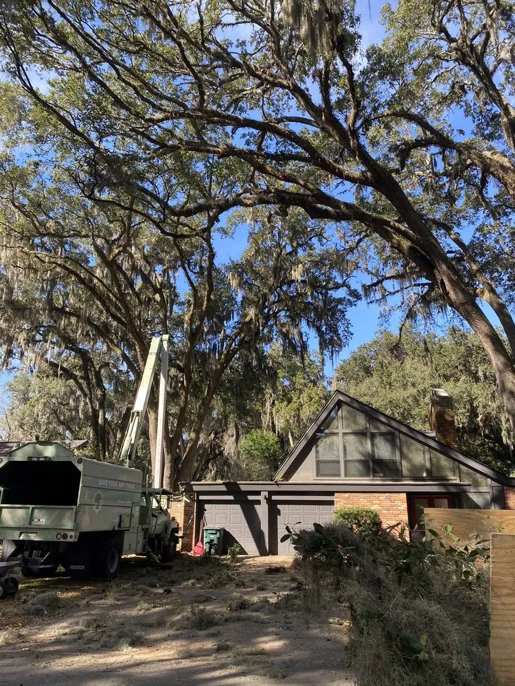 Affordable garden landscaping experts serving Daytona Beach, FL - JNG Tree Service and Landscaping