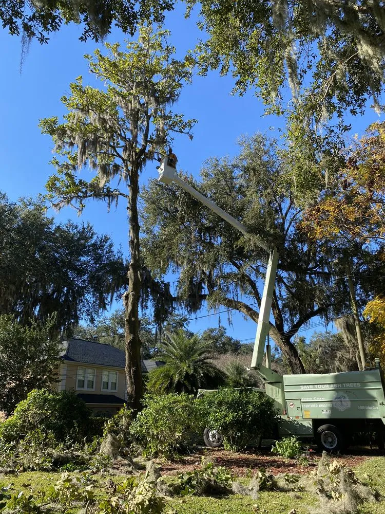 Reliable lawn care service experts serving Daytona Beach, FL - JNG Tree Service and Landscaping