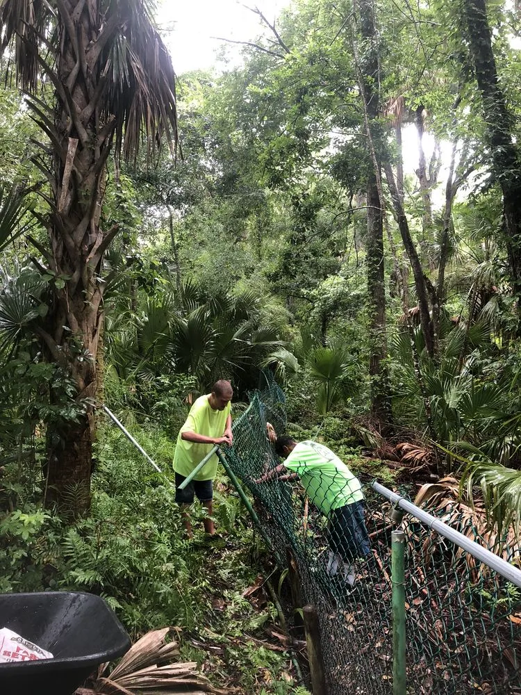Custom landscape design in Daytona Beach, FL - JNG Tree Service and Landscaping