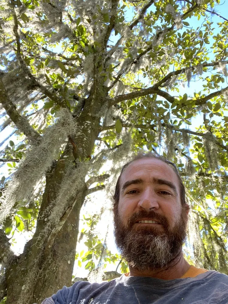 Affordable landscape installation for homes across Daytona Beach, FL - JNG Tree Service and Landscaping