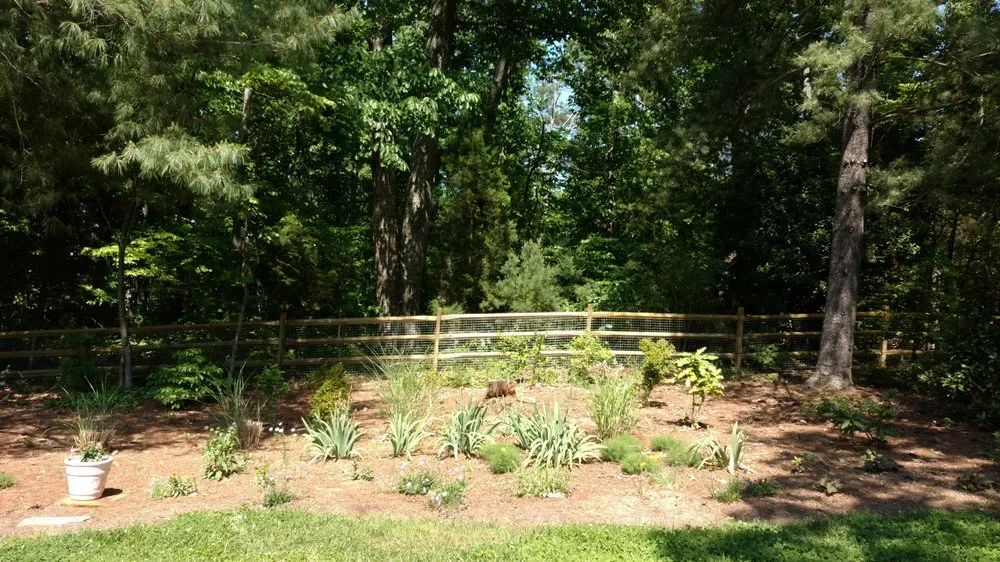 Professional yard cleanup service in Maiden, NC by JnJ Services