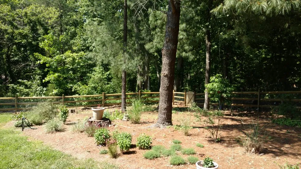 Professional yard maintenance in Maiden, NC by JnJ Services