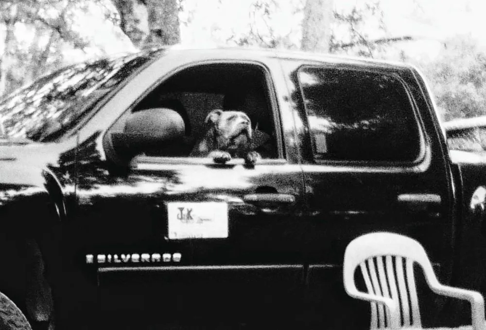 Professional yard cleanup service experts serving Lower Lake, CA - JNK Abaitment Landscaping And Designs