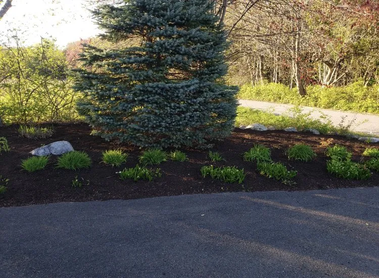 Custom lawn mowing service for outdoor upgrades across Haverhill, MA - JNL Landscaping