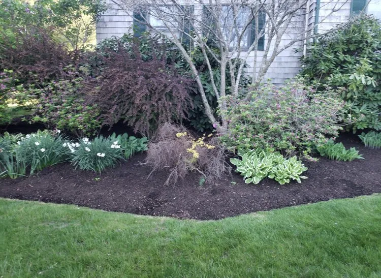 Expert lawn care service in Haverhill, MA - JNL Landscaping