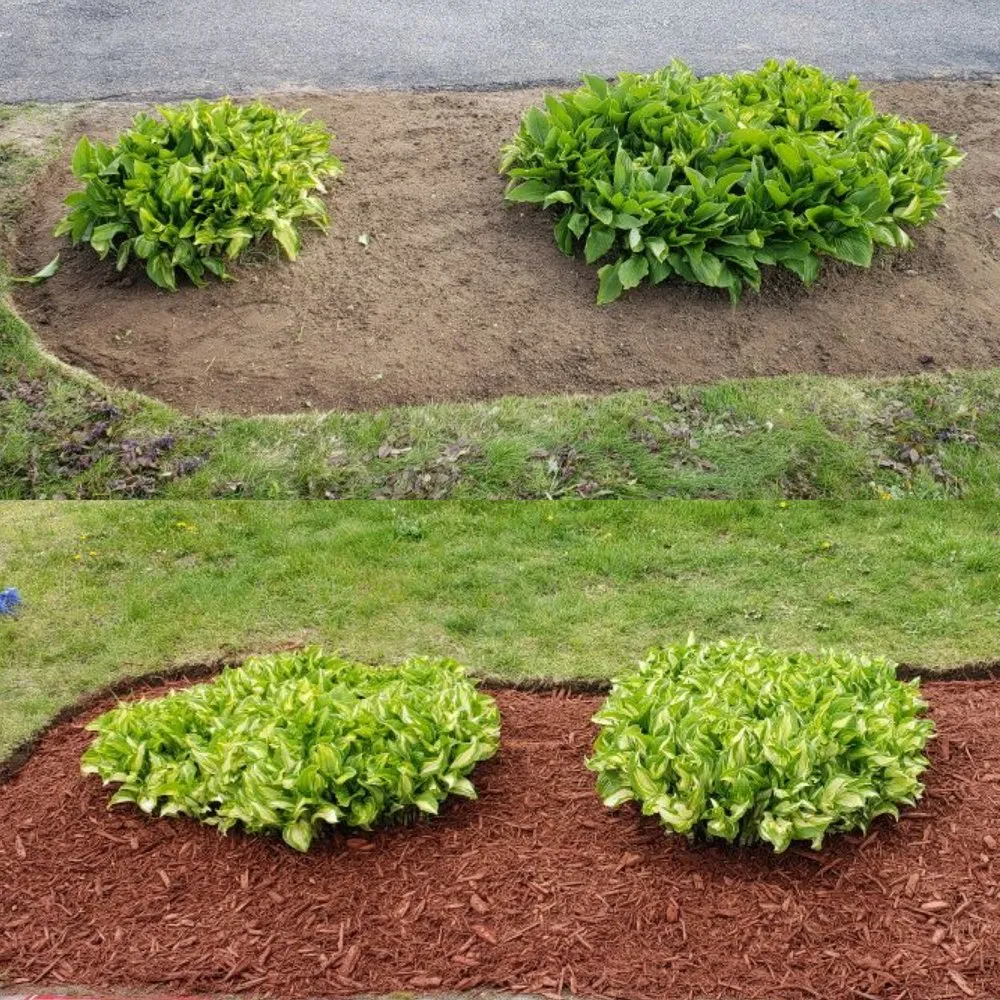 Expert garden landscaping for residential properties in Haverhill, MA by JNL Landscaping