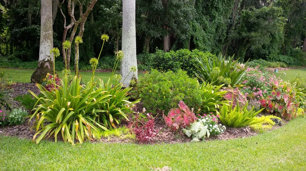 Reliable lawn care service for outdoor upgrades across Lakeland, FL - JNL Property Solutions