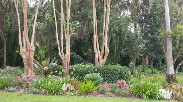 JNL Property Solutions Logo