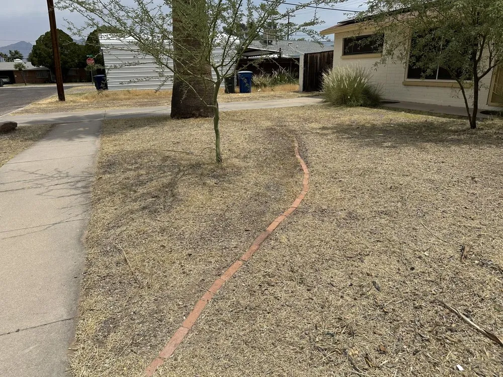 Affordable landscape design in Tucson, AZ - JNM Services