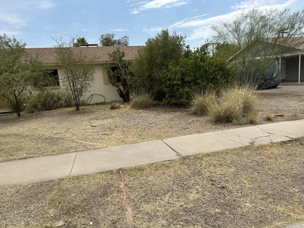 Trusted yard maintenance in Tucson, AZ - JNM Services