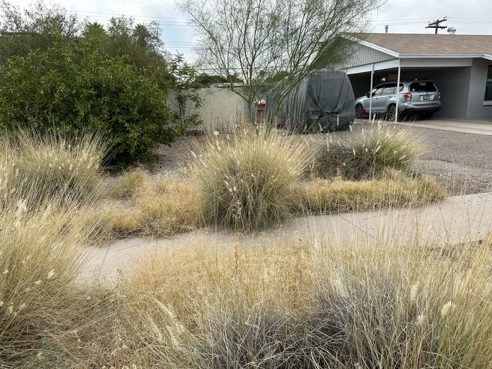Reliable outdoor landscaping in Tucson, AZ by JNM Services