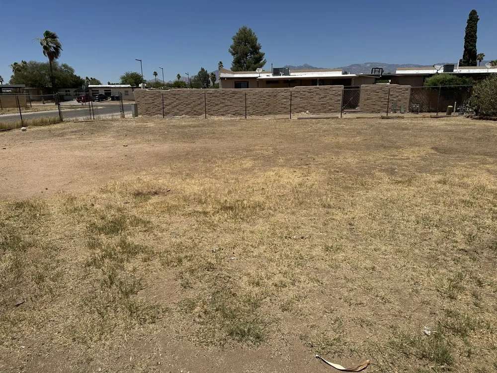 Expert yard cleanup service in Tucson, AZ - JNM Services