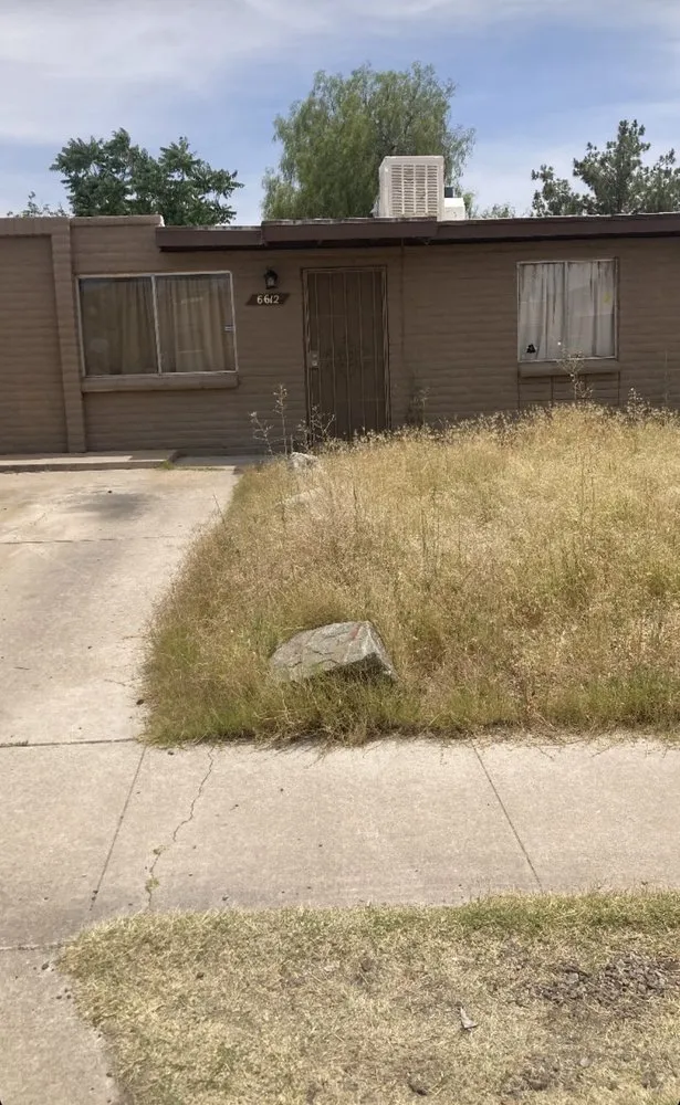 Professional yard cleanup service for residential properties in Tucson, AZ by JNM Services