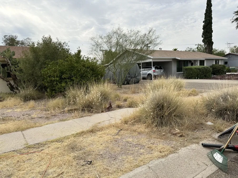 Reliable yard cleanup service in Tucson, AZ by JNM Services