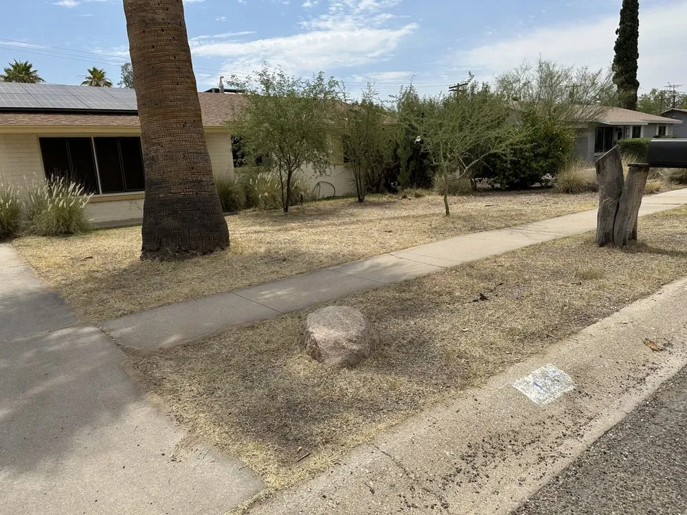 Top-rated yard cleanup service in Tucson, AZ by JNM Services