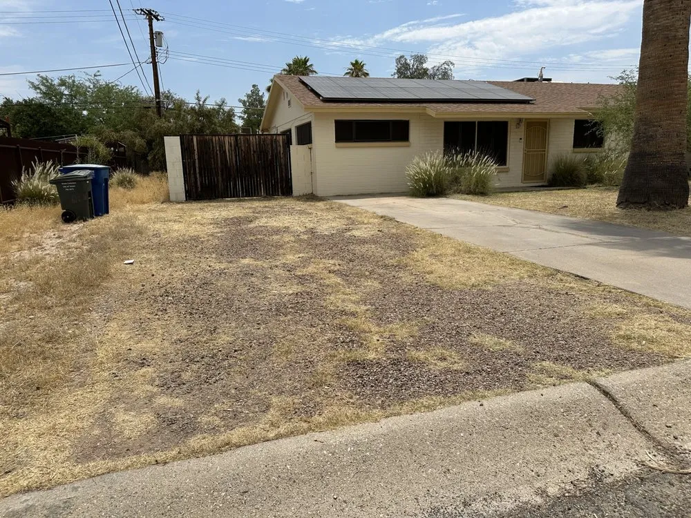 Top-rated yard cleanup service in Tucson, AZ - JNM Services