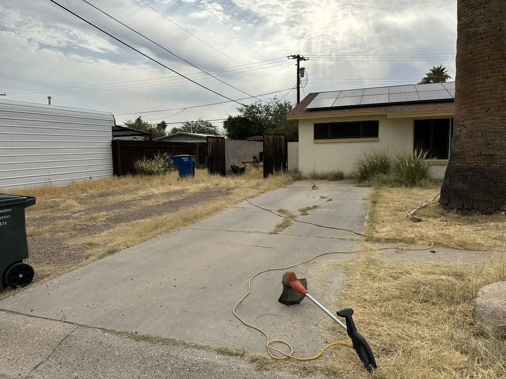 Affordable lawn care service for beautiful yards in Tucson, AZ by JNM Services