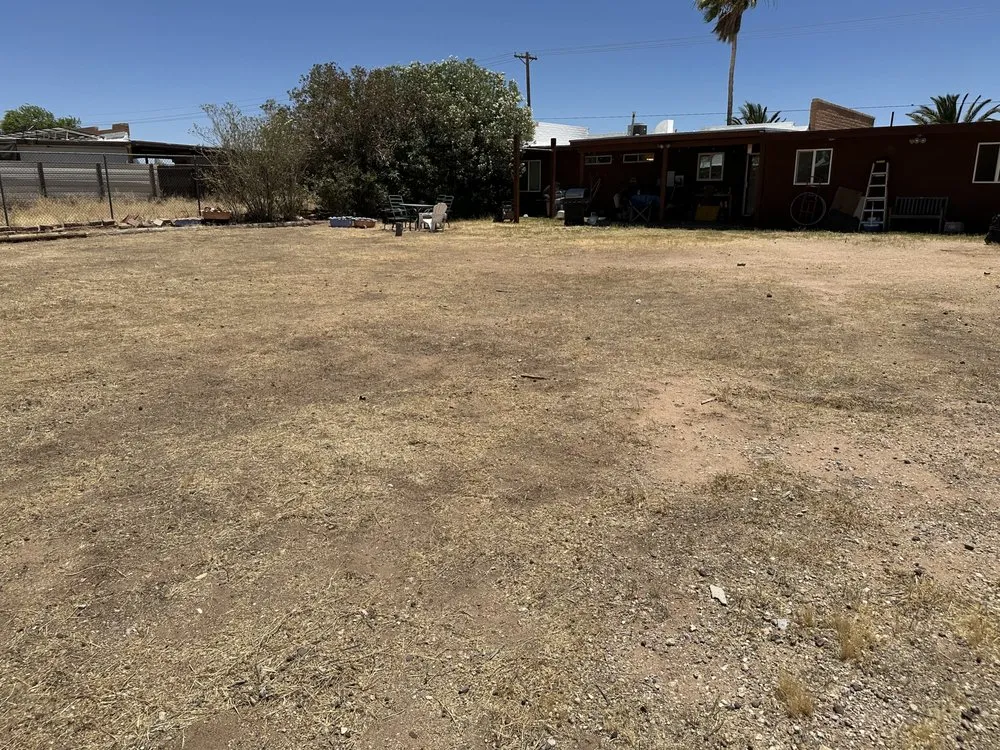 Local residential landscaping experts serving Tucson, AZ - JNM Services