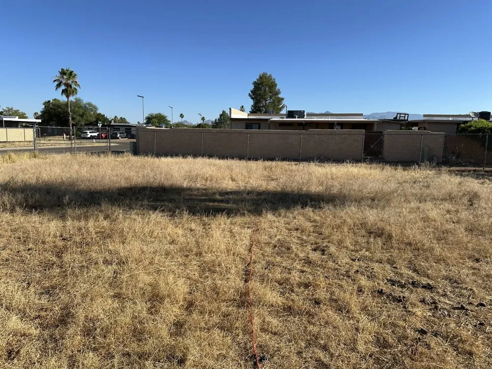 Affordable lawn care service in Tucson, AZ - JNM Services