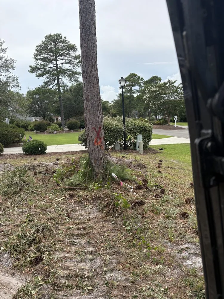 Reliable landscaping services for residential properties across Shallotte, NC - JNR Enterprises