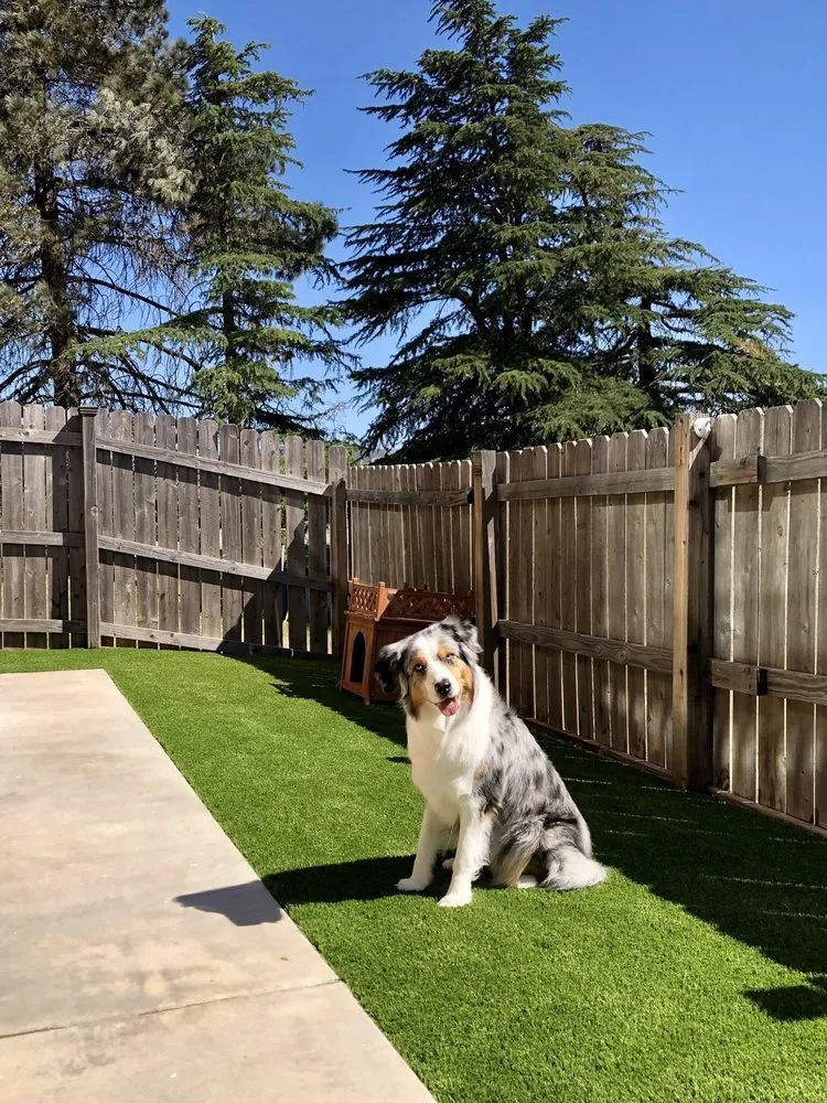 Custom residential landscaping experts serving Magnolia, TX - JNR Home Improvements