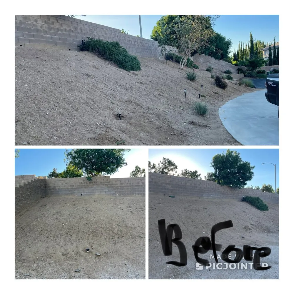 Affordable landscape installation in Palmdale, CA - JNR Home Improvements