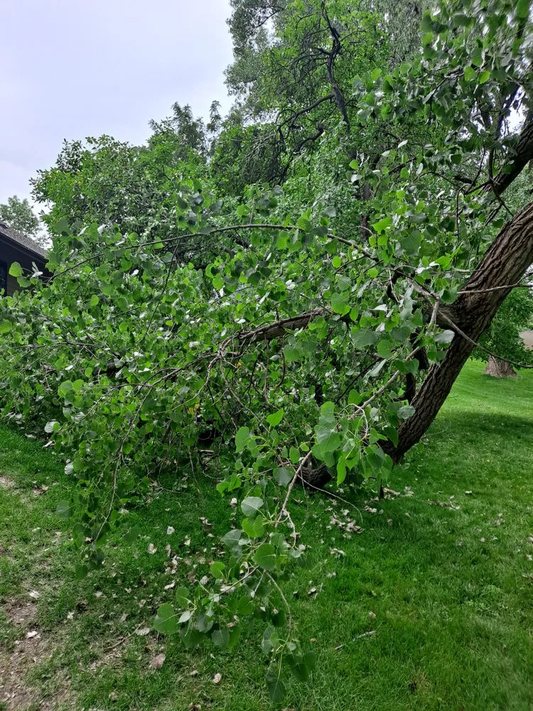 Top-rated landscape design with custom design across Mounds View, MN - JNR Infinity Lawn Care