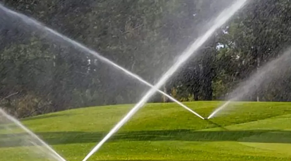 Top-rated landscaping services in Tampa, FL by JNR Landscape Management