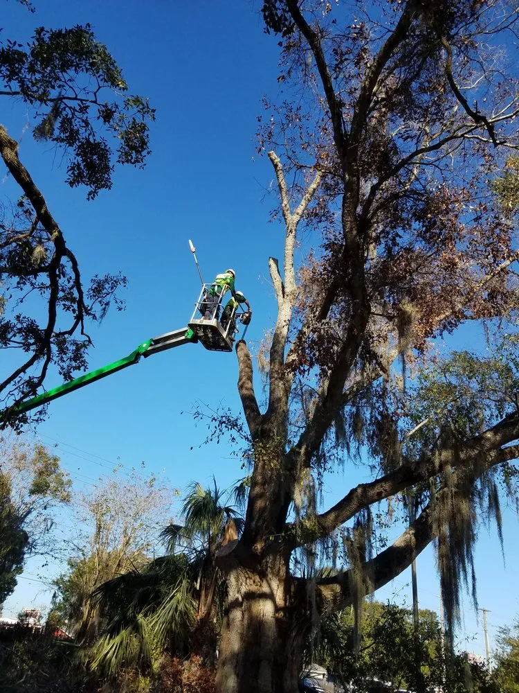 Trusted outdoor landscaping in Tampa, FL by JNR Landscape Management