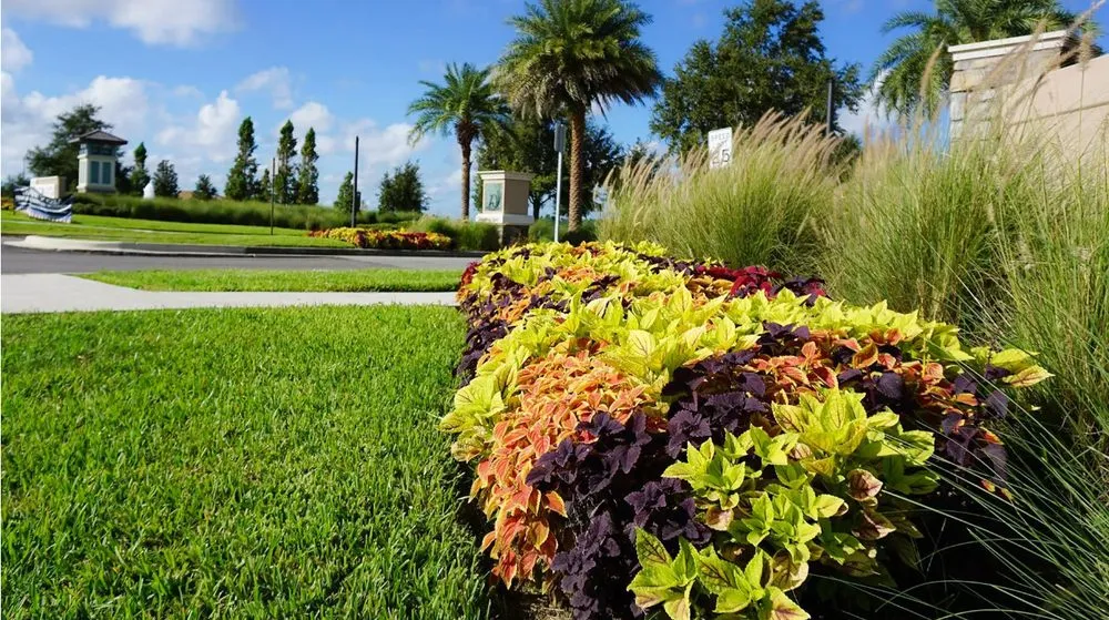 Expert garden landscaping experts serving Tampa, FL - JNR Landscape Management