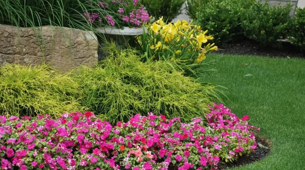 Professional garden landscaping in Tampa, FL - JNR Landscape Management