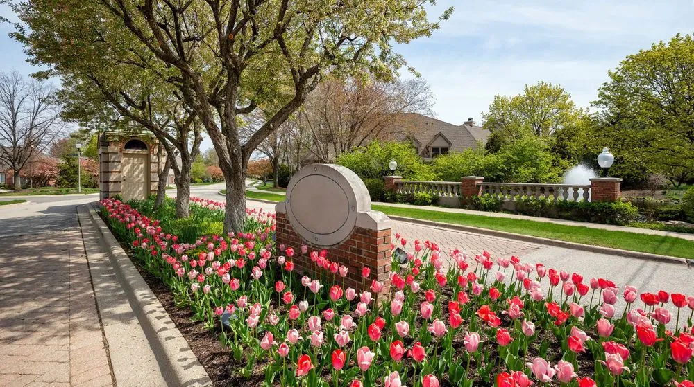 Local yard cleanup service for outdoor upgrades across Tampa, FL - JNR Landscape Management