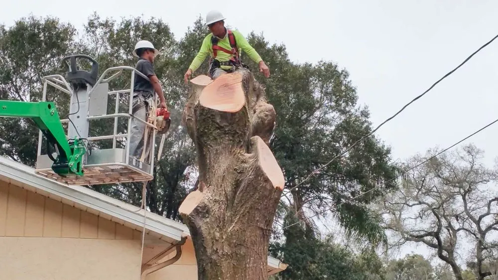 Reliable landscape installation in Tampa, FL by JNR Landscape Management