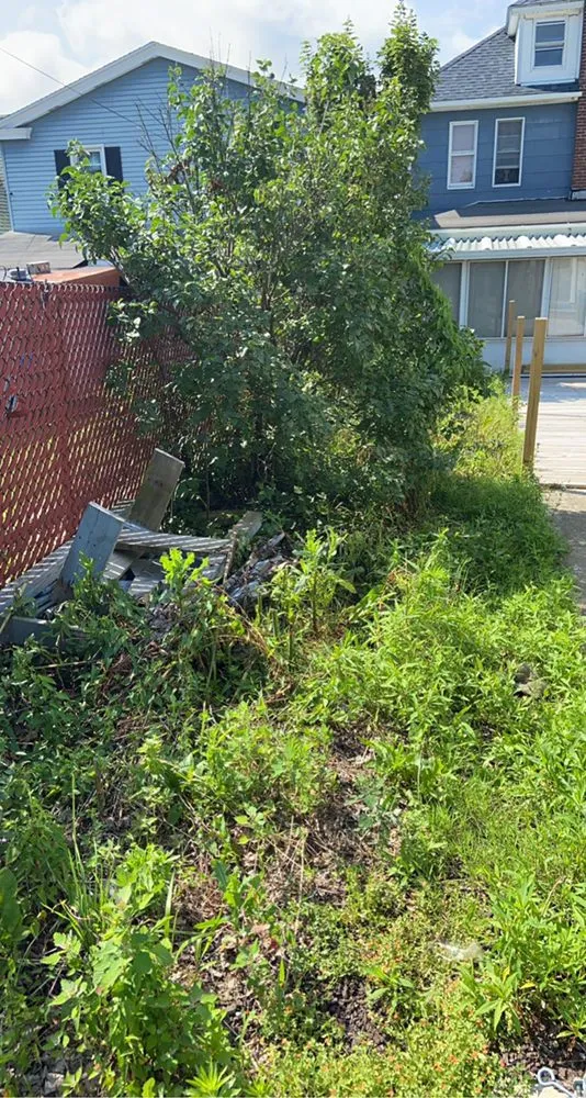 Trusted yard cleanup service for year-round maintenance in Nazareth, PA by JNR Lawncare Services