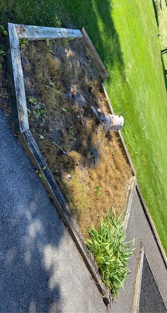 Local landscaping services for outdoor upgrades across Nazareth, PA - JNR Lawncare Services